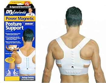 Life Sport Magnetic Bike + Posture Support
