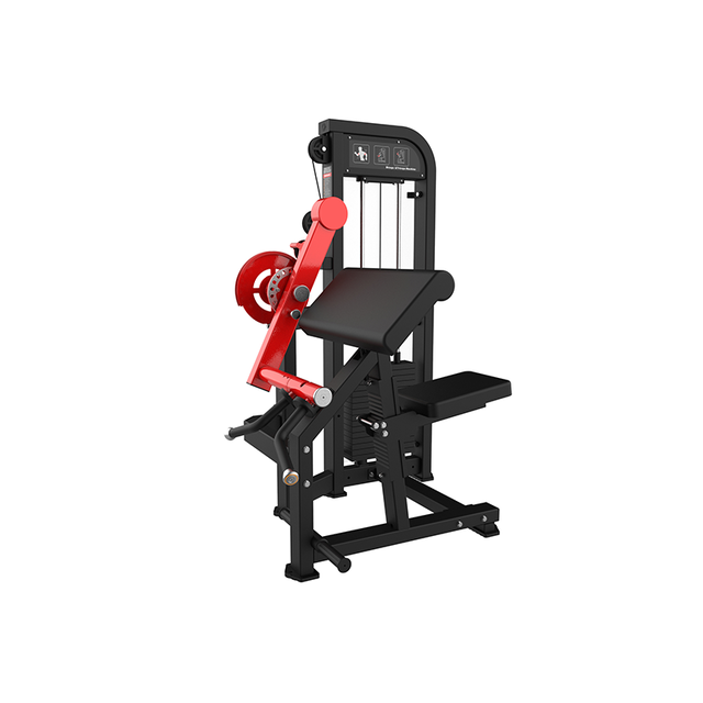Life Fitness Pro 2 biceps and triceps dual machine for arm isolation gym training