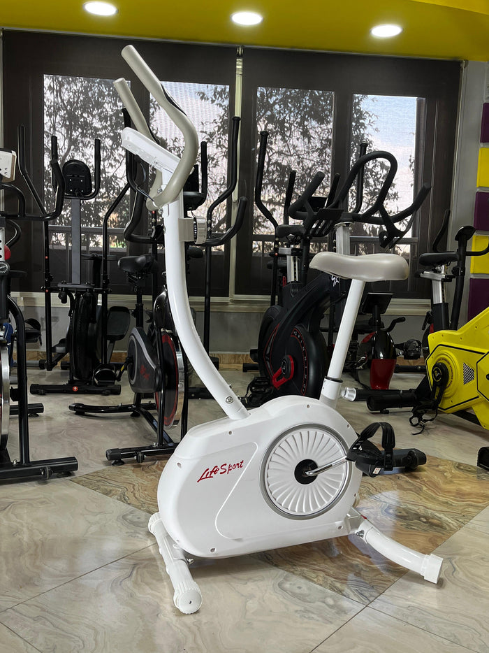 Life Sport Magnetic Bike