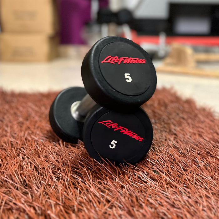 Life Fitness Round Dumbbells