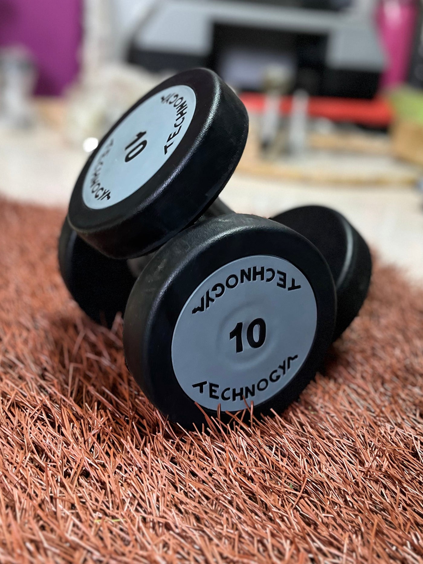 Technogym Dumbbells