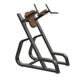 Precor Icarian VKR dip station for abs triceps and bodyweight gym training