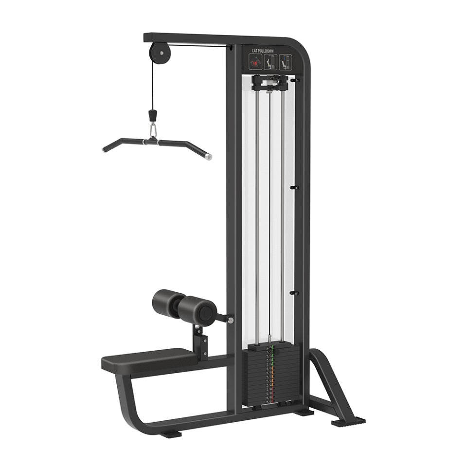 Life Fitness Pro 2 lat pulldown machine 120 kg stack for back and lats training