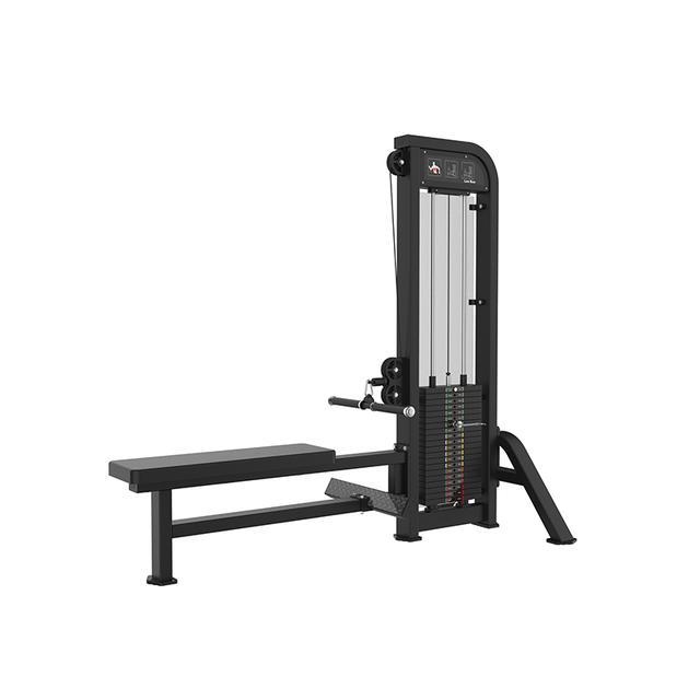Life Fitness Pro 2 pulley low row machine 120 kg stack for mid back training